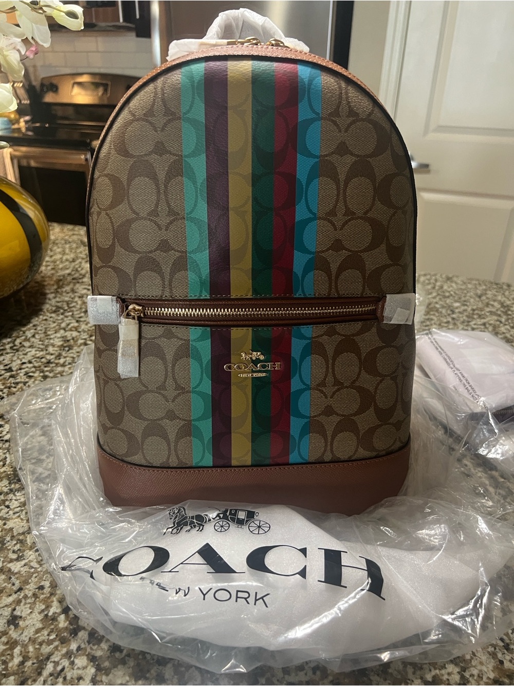 Coach Brown Signature Backpack with Multicolor Vertical Stripes